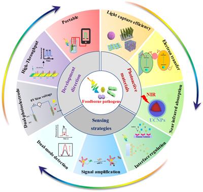 Recent advances in foodborne pathogen detection using photoelectrochemical biosensors: from photoactive material to sensing strategy